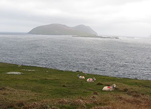 Dingle: Last Day In Paradise - October 27, 2016