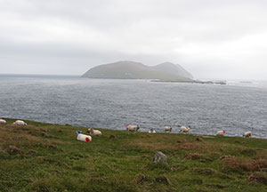 Dingle: Last Day In Paradise - October 27, 2016