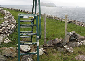 Dingle: Last Day In Paradise - October 27, 2016