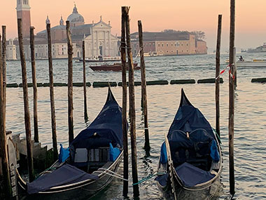 boats tied at shore