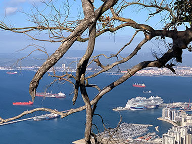 Cruise ship in distance at pier