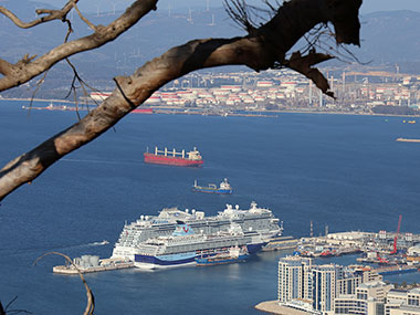 Tree branch with cruise ship in distance