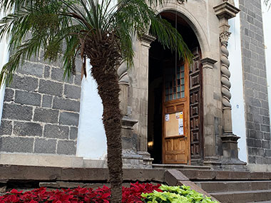 Palm tree outside entrance to church