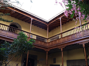 Flowers and vines on balcony