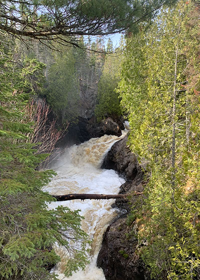 Cascade River State Park - river flows under log
