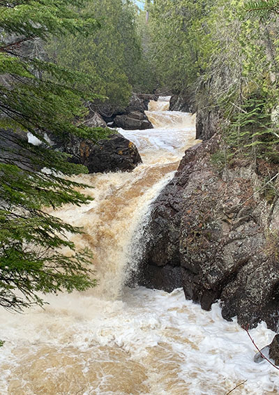Cascade River State Park waterfall beyond a tree