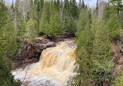 Trees with waterfall in the middle