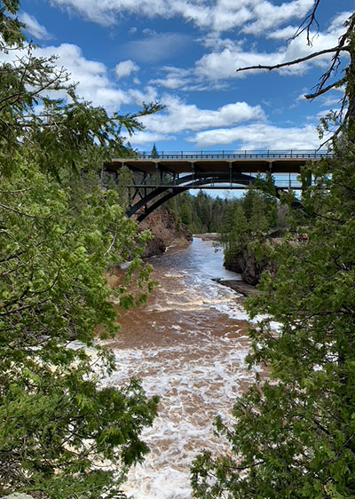 waterfall and bridge beyond trees