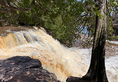 waterfall behind rock and tree
