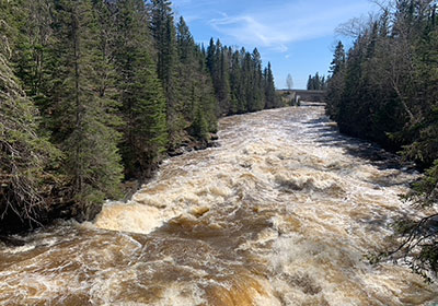 rule River Rapids in Spring