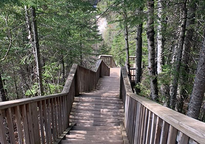 Judge C.R. Magney State Park path stairs