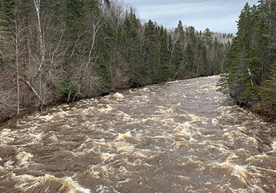 Judge C.R. Magney State Park river in 2023