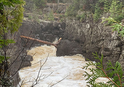 log lays across river