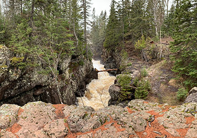 River flows under downed tree