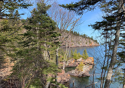 Shoreline through trees