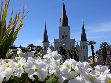 Flowers in front of cathedral