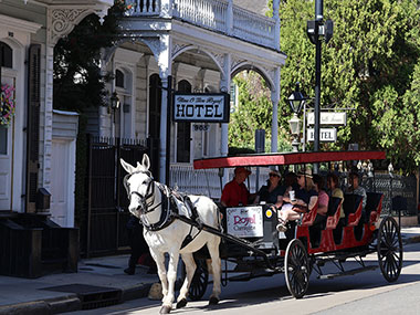Horse pulls trailer
