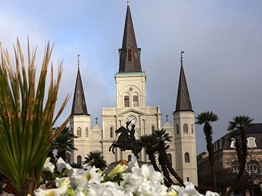 Flowers with St. Louis Cathedral and Jackson Square in background