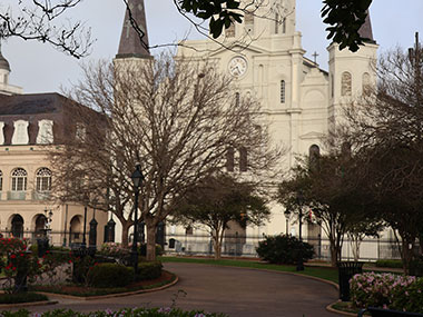 Trees in front of cathedral
