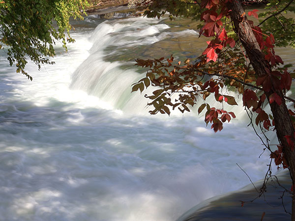 Rapid of Niagara River