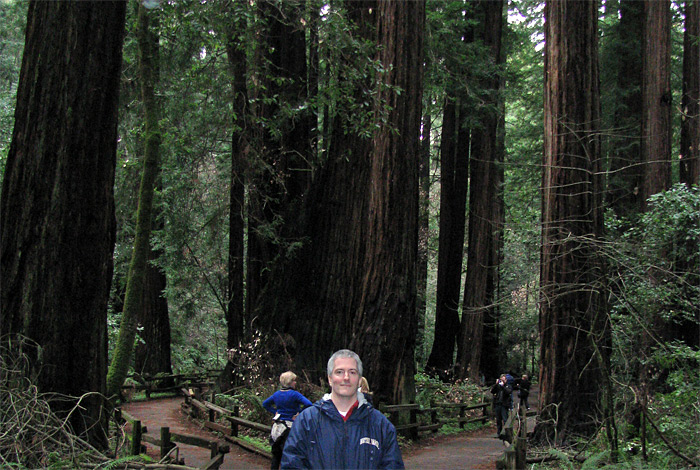 Pat in Muir Woods