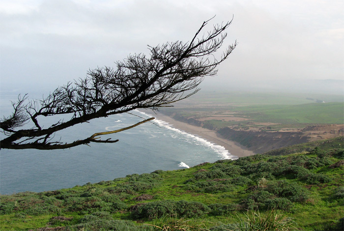 Coast of Point Reyes