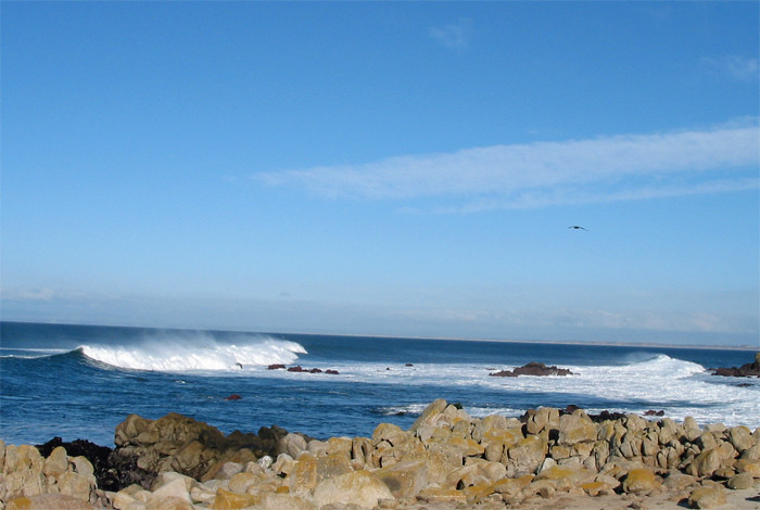 Looking at water from Seventeen Mile Drive