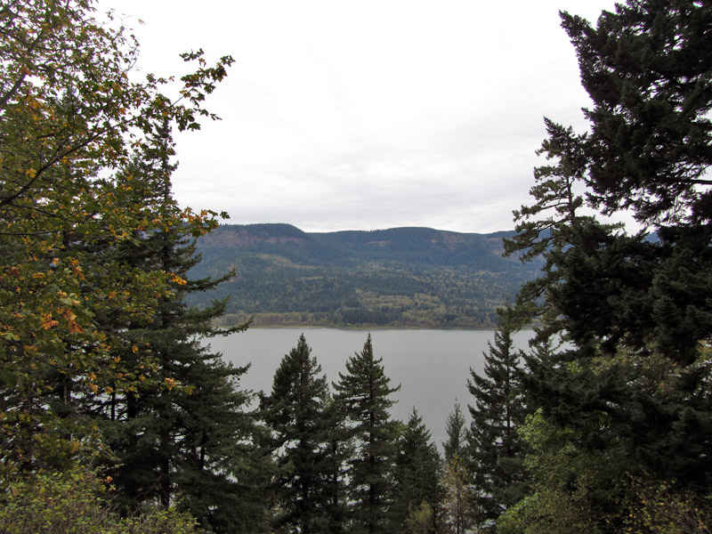 River view through trees at Multnomah Falls