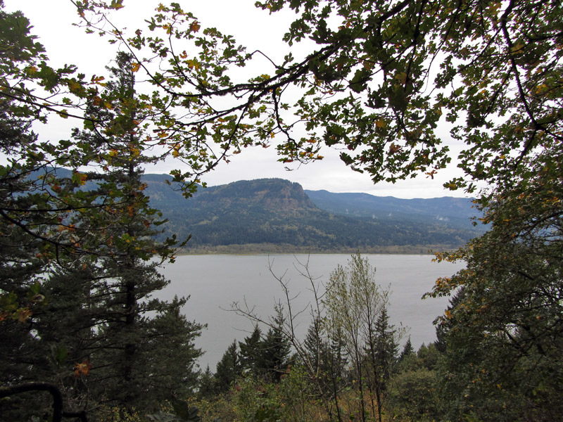  River framed by trees at Multnomah Falls