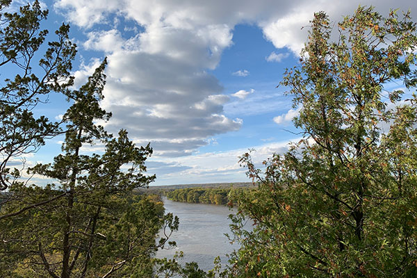 River framed by trees