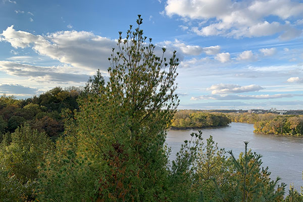 Trees with river to the right
