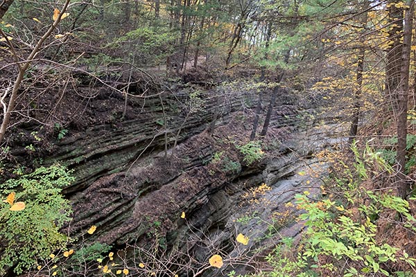 Canyon with exposed rock on hiking trail