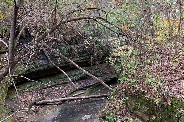 Valley of trail