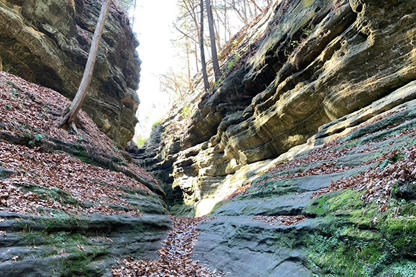 Canyon view