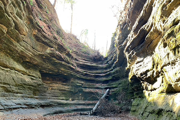 Canyon in fall