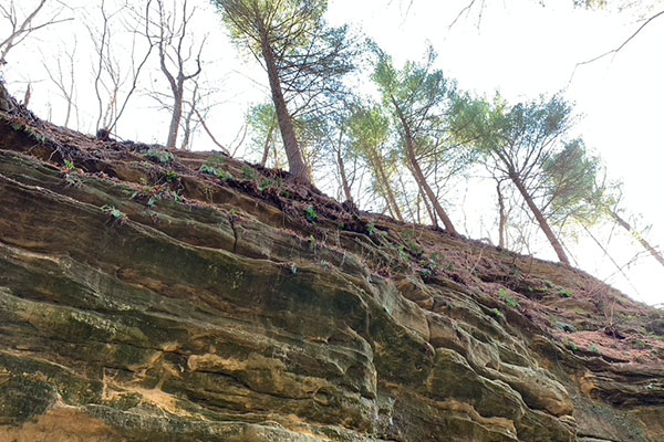 Looking up to the top on a canyon