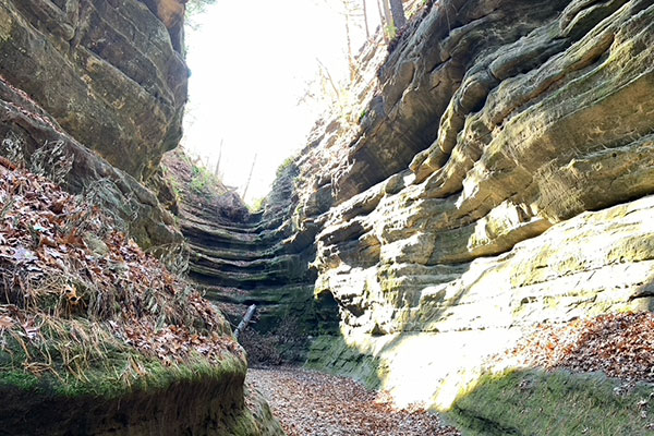 Sun shines intoa canyon