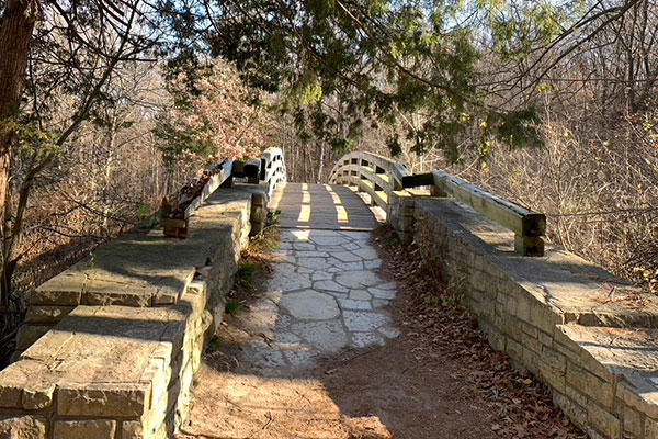 Bridge along path
