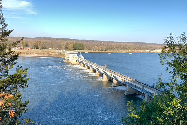 Dam beyond trees