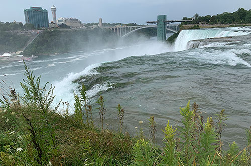 Perrenials in front of the falls