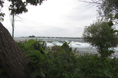 Rapids on the river