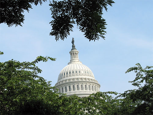 Capitol Building dome